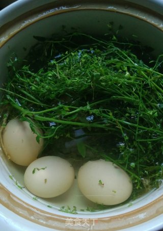 地菜煮鸡蛋的做法步骤：5