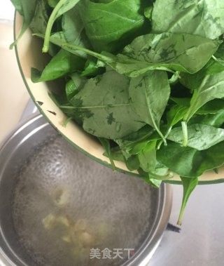 枸杞叶肉丝汤的做法步骤：7