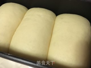 奶油蜂蜜吐司（波兰种）的做法步骤：6