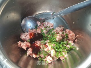 带尾巴的艾草鲜肉汤圆的做法步骤：1