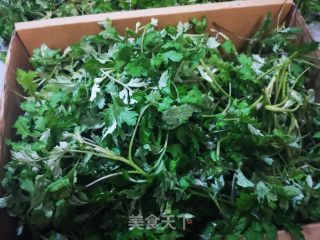 带尾巴的艾草鲜肉汤圆的做法步骤：2