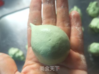 带尾巴的艾草鲜肉汤圆的做法步骤：9