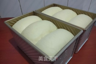 70%中种法淡奶油吐司的做法步骤：13