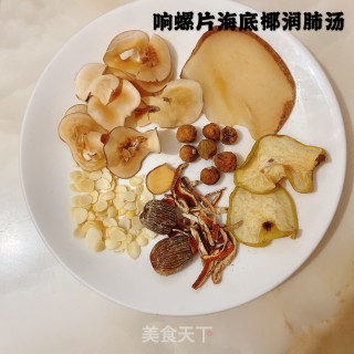 响螺片海底椰润肺汤的做法步骤：1