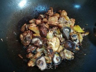 土鸡炖香菇的做法步骤：8
