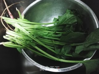 芥末酱拌菠菜粉丝的做法步骤：2
