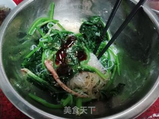 芥末酱拌菠菜粉丝的做法步骤：8
