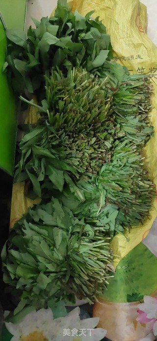 苦麻菜肉末汤的做法步骤：1
