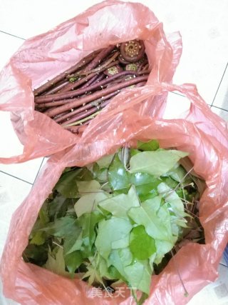 乌米饭（枫叶版）的做法步骤：1