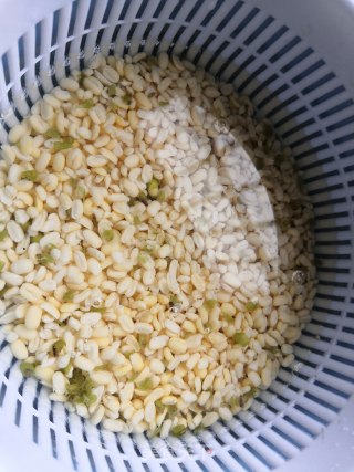 绿豆糕的做法步骤：2