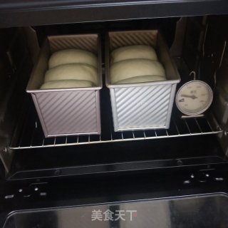 波兰种奶香吐司的做法步骤：14