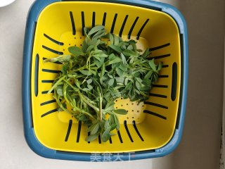 苜蓿炒豆皮的做法步骤：1