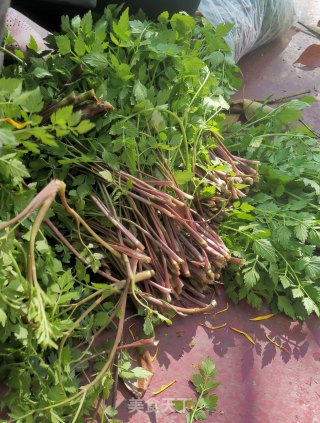 野水芹饺子的做法步骤：1