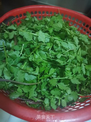 野水芹饺子的做法步骤：2