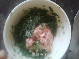 野水芹饺子的做法步骤：5