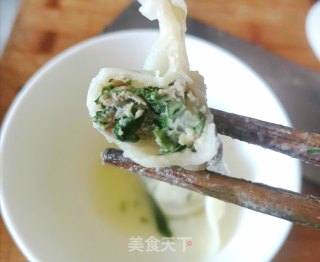 野水芹饺子的做法步骤：12