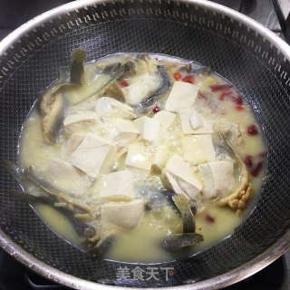 泥鳅炖豆腐的做法步骤：8