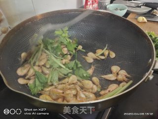 芹菜炒白米虾的做法步骤：6