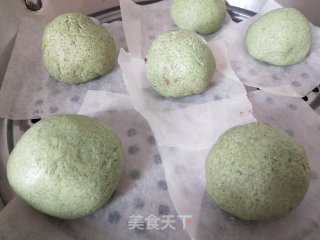 艾草青团的做法步骤：6