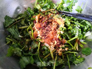 凉拌香菜的做法步骤：4