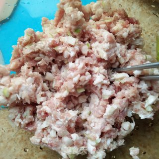 猪肉白菜肉包的做法步骤：3