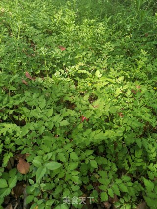 野水芹炒牛肉的做法步骤：1