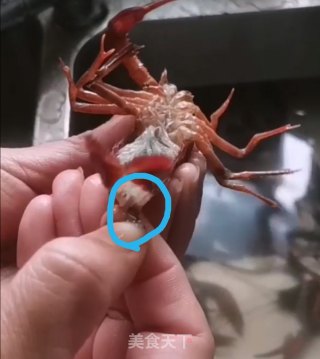 十三香辣小龙虾（附正确清洗处理小龙虾方法）的做法步骤：4