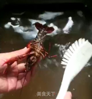 十三香辣小龙虾（附正确清洗处理小龙虾方法）的做法步骤：7