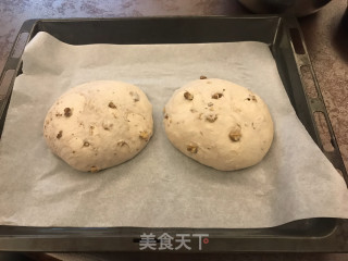 核桃仁法国圆面包的做法步骤：13