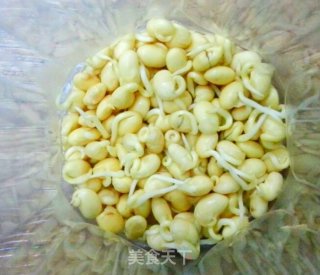 好吃的黄豆芽肉包子的做法步骤：2