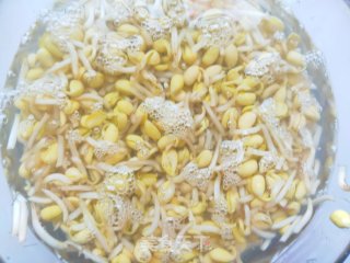 好吃的黄豆芽肉包子的做法步骤：8