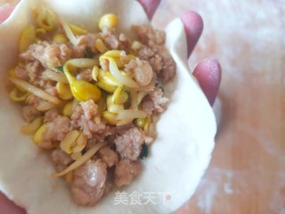 好吃的黄豆芽肉包子的做法步骤：14