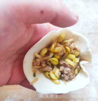 好吃的黄豆芽肉包子的做法步骤：15