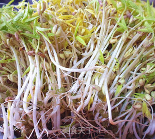 粉丝绿豆芽的做法步骤：1