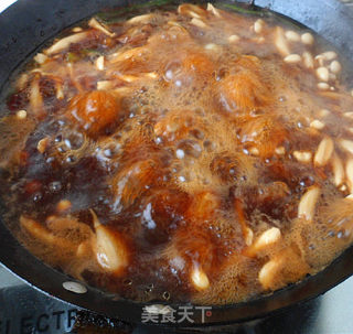 乱炖鸭腿的做法步骤：7