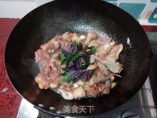 啤酒鸭的做法步骤：9