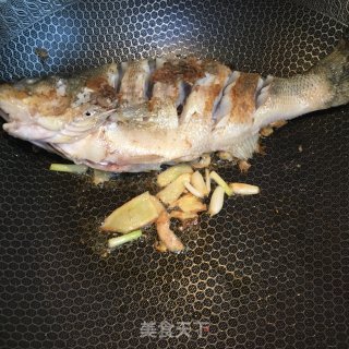 萝卜烧鲈鱼的做法步骤：2