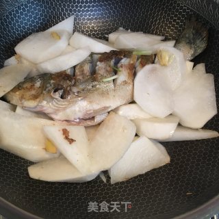 萝卜烧鲈鱼的做法步骤：3