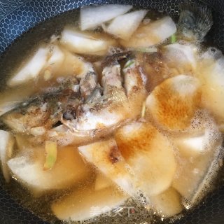 萝卜烧鲈鱼的做法步骤：4