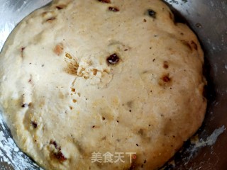 玉米面红枣窝窝头的做法步骤：6