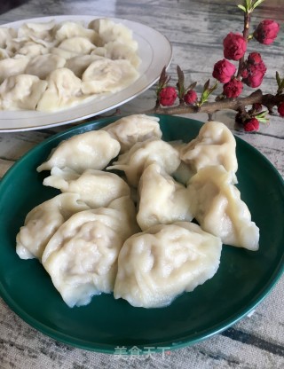 水萝卜肉饺的做法步骤：16