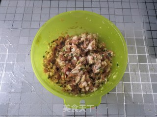家庭版包菜猪肉馅馄饨的做法步骤：3