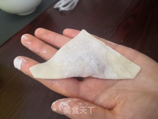 家庭版包菜猪肉馅馄饨的做法步骤：5