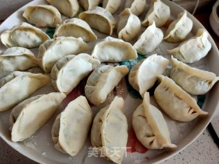 黄瓜鸡蛋水饺的做法步骤：16