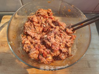 家常鲜肉包的做法步骤：3