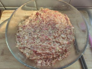 家常鲜肉包的做法步骤：5