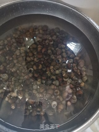 香辣卤螺蛳的做法步骤：1