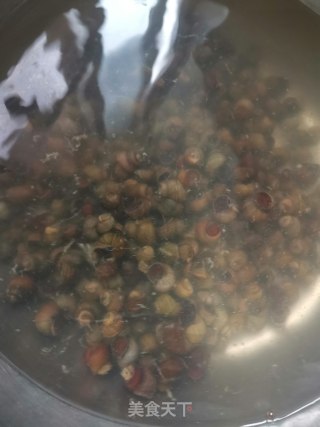 香辣卤螺蛳的做法步骤：4