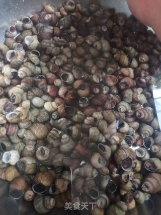 香辣卤螺蛳的做法步骤：6
