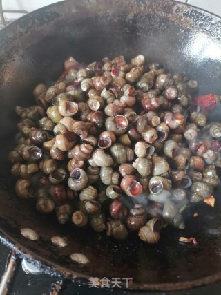 香辣卤螺蛳的做法步骤：12